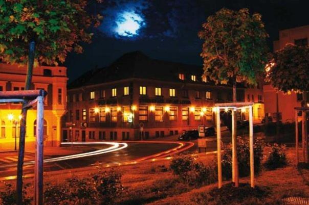 Hotel Zeleny Strom Hořovice Eksteriør billede